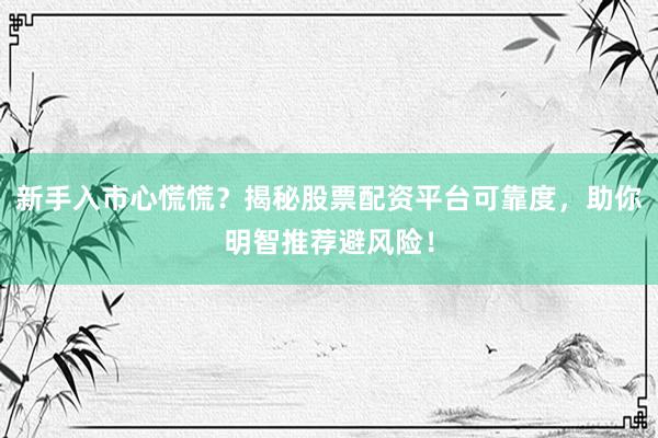 新手入市心慌慌？揭秘股票配资平台可靠度，助你明智推荐避风险！
