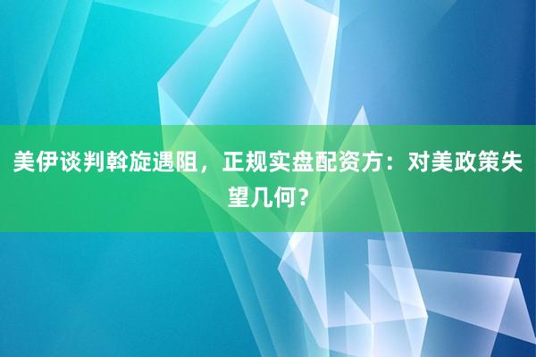 美伊谈判斡旋遇阻，正规实盘配资方：对美政策失望几何？