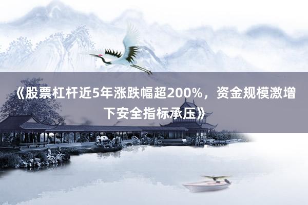 《股票杠杆近5年涨跌幅超200%，资金规模激增下安全指标承压》