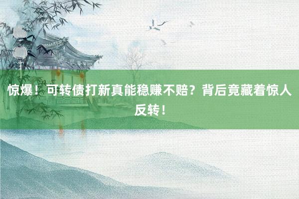 惊爆！可转债打新真能稳赚不赔？背后竟藏着惊人反转！