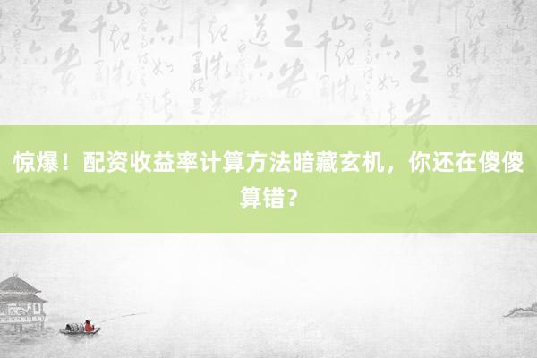 惊爆！配资收益率计算方法暗藏玄机，你还在傻傻算错？